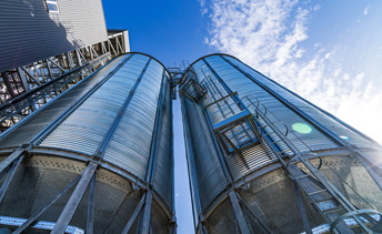 Nuestros productos: derivados de soja con valor nutricional y garantía de calidad